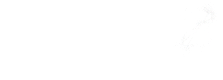Ice Brave